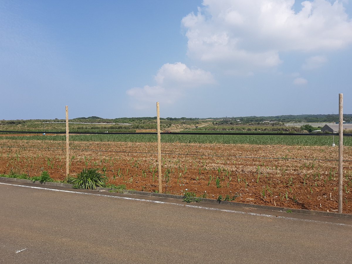 f:id:masamasa1223:20220408175726j:plain