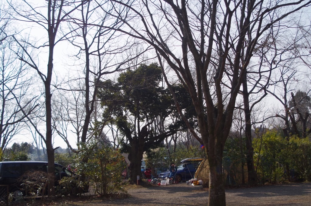 f:id:masamasato:20170322215425j:image f:id:masamasato:20170322215425j:image