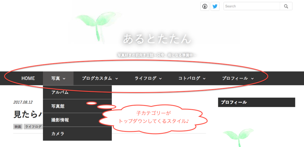 f:id:masami11662277:20170812115709p:plain f:id:masami11662277:20170812115709p:plain