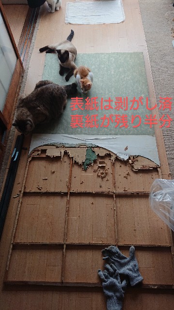 f:id:masami3ch:20200726094123j:image f:id:masami3ch:20200726094123j:image