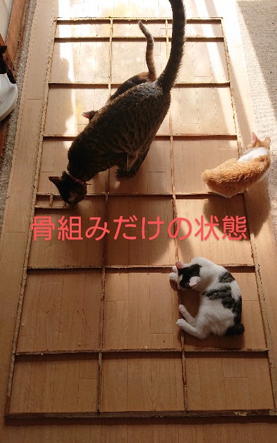 f:id:masami3ch:20200726094506j:image f:id:masami3ch:20200726094506j:image