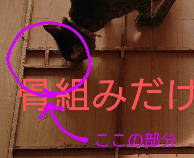 f:id:masami3ch:20200726152919j:image f:id:masami3ch:20200726152919j:image