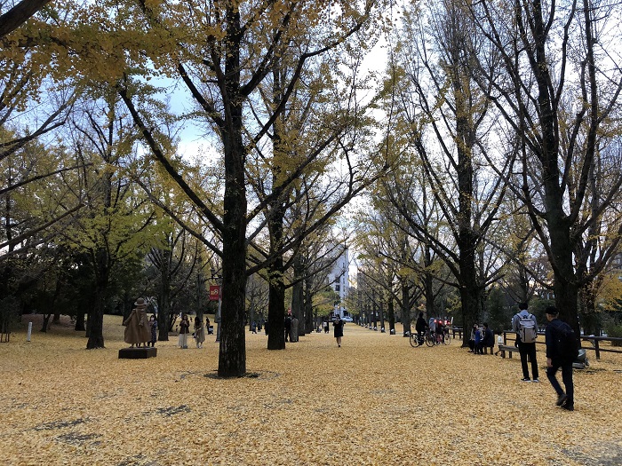 f:id:masami71:19800101000048j:plain