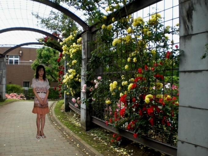 f:id:masami71:20110810225516j:image