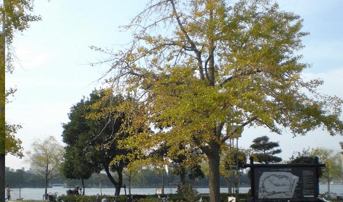 f:id:masami71:20121111232746j:image