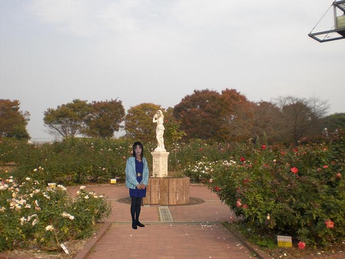 f:id:masami71:20121111232750j:image