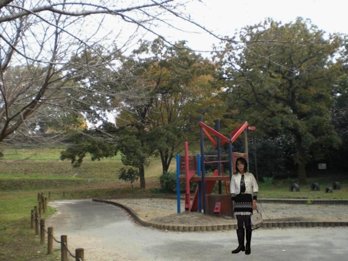 f:id:masami71:20121130124428j:image