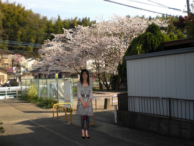 f:id:masami71:20140402225801j:image f:id:masami71:20140402225801j:image