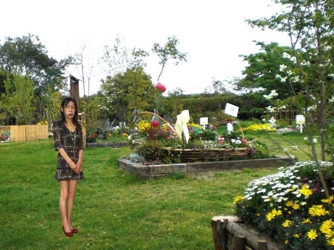 f:id:masami71:20140621112652j:image