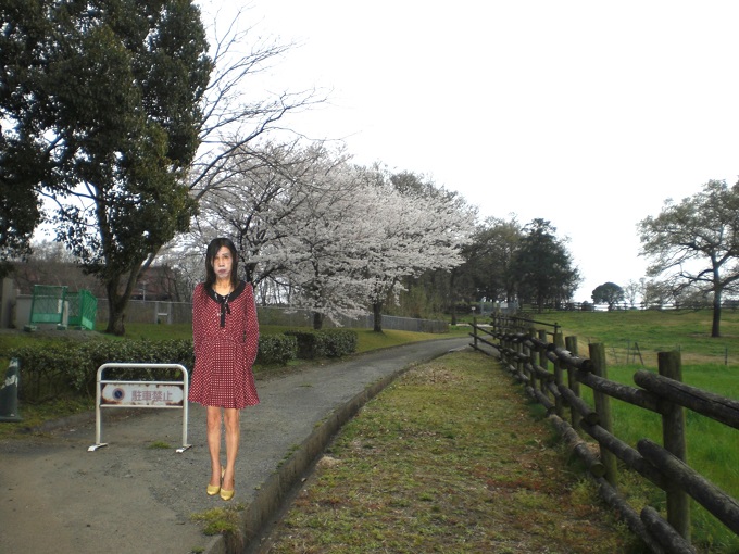 f:id:masami71:20150525110555j:image f:id:masami71:20150525110555j:image