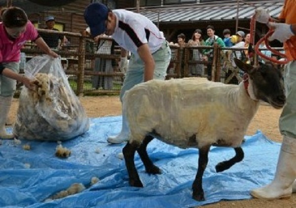 f:id:masami71:20150526195530j:image f:id:masami71:20150526195530j:image