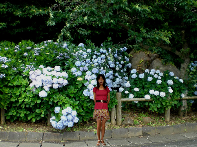 f:id:masami71:20150616210553j:image f:id:masami71:20150616210553j:image