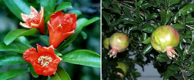 f:id:masami71:20150625195404j:image