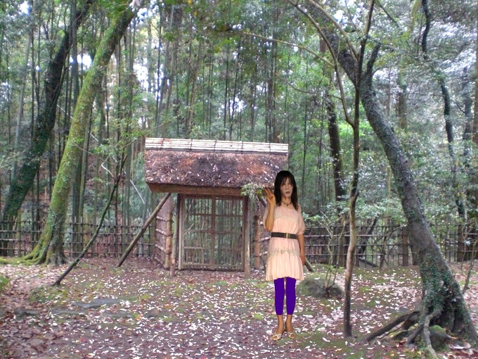 f:id:masami71:20150625195548j:image