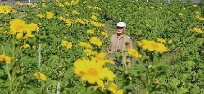 f:id:masami71:20151112205804j:image f:id:masami71:20151112205804j:image