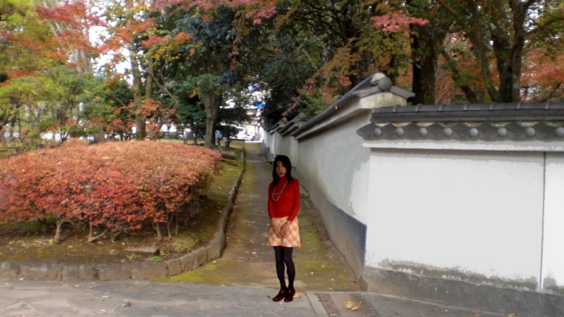 f:id:masami71:20160121194552j:image