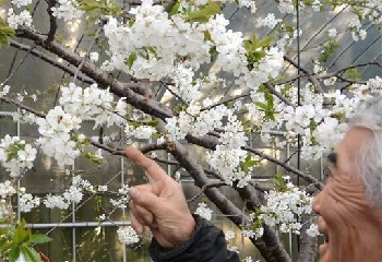 f:id:masami71:20160413203411j:image:left