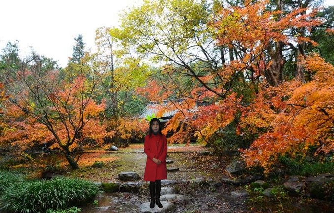 f:id:masami71:20161205212333j:image