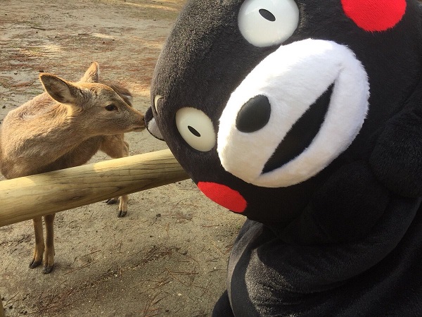 f:id:masami71:20180125210623j:image