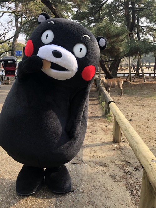 f:id:masami71:20180125210630j:image