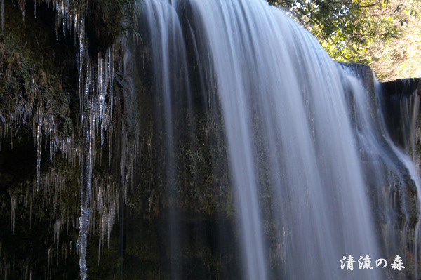 f:id:masami71:20180127131325j:image f:id:masami71:20180127131325j:image