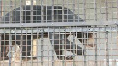 f:id:masami71:20180314224029j:image:left