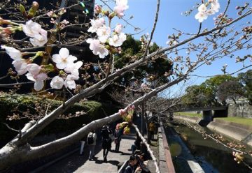 f:id:masami71:20180318140213j:image