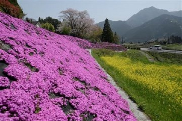 f:id:masami71:20180401215317j:image