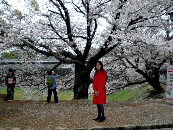 f:id:masami71:20180402115650j:image f:id:masami71:20180402115650j:image