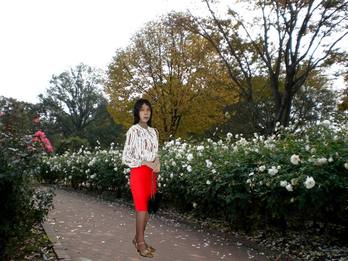 f:id:masami71:20180411125724j:image f:id:masami71:20180411125724j:image