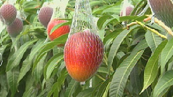 f:id:masami71:20180428214940j:image:left