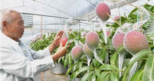 f:id:masami71:20180428215204j:image