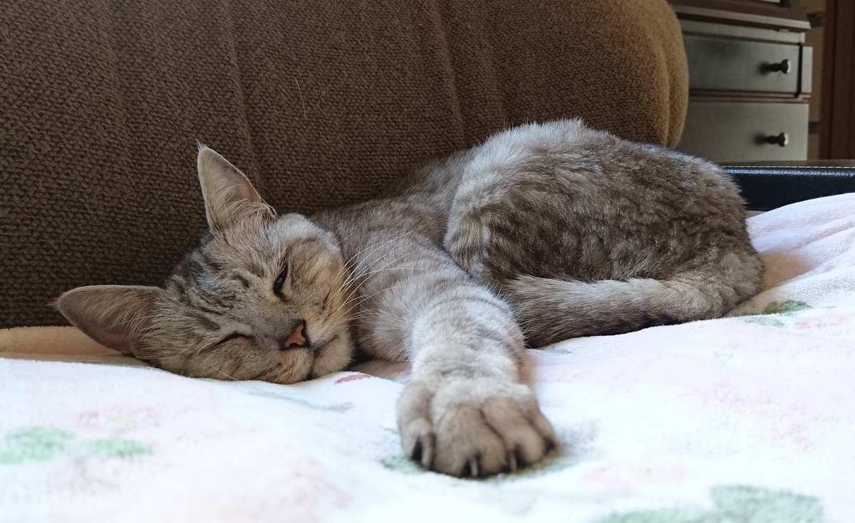 f:id:masami71:20180512123431j:plain f:id:masami71:20180512123431j:plain