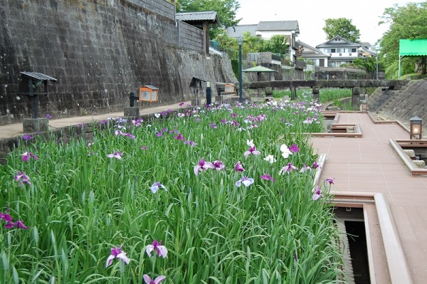 f:id:masami71:20180522215002j:image