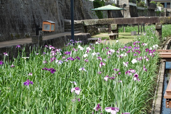 f:id:masami71:20180522215758j:image