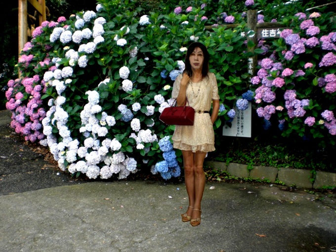 f:id:masami71:20180610145055j:image