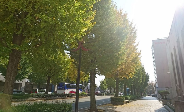 f:id:masami71:20181121114115j:image