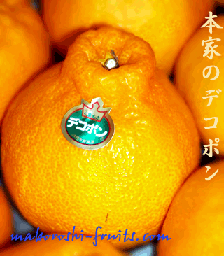 f:id:masami71:20181121200712j:image:left f:id:masami71:20181121200712j:image:left