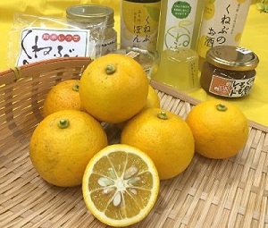 f:id:masami71:20181126221835j:image:left f:id:masami71:20181126221835j:image:left