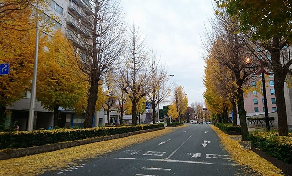 f:id:masami71:20181207121254j:image