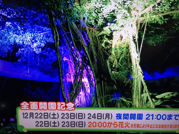 f:id:masami71:20181220201049j:image