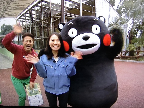 f:id:masami71:20181220201052j:image