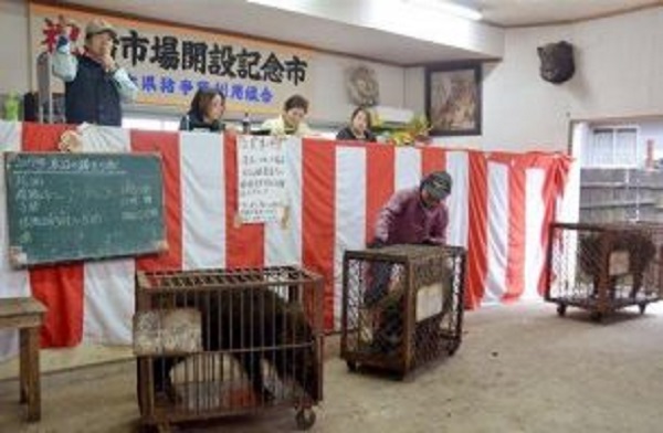 f:id:masami71:20190108131046j:image f:id:masami71:20190108131046j:image