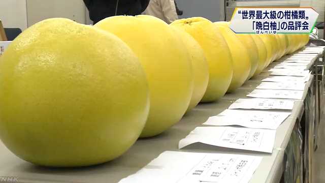 f:id:masami71:20190113205645j:image f:id:masami71:20190113205645j:image