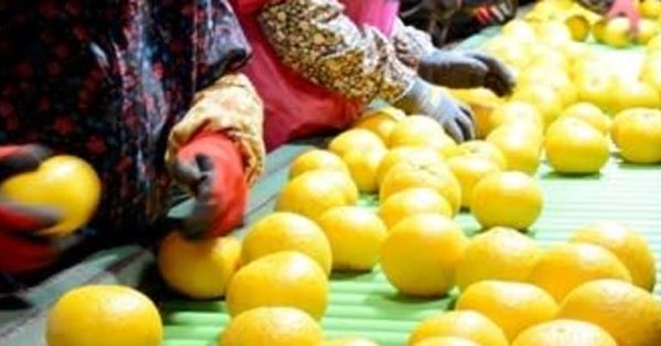 f:id:masami71:20190125115721j:image