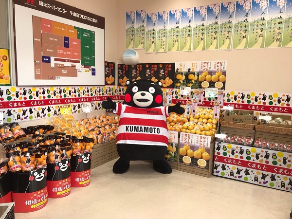 f:id:masami71:20190322203550j:plain f:id:masami71:20190322203550j:plain