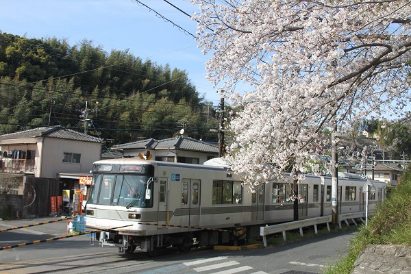 f:id:masami71:20190409213127j:plain