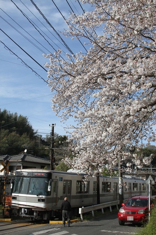 f:id:masami71:20190409213129j:plain