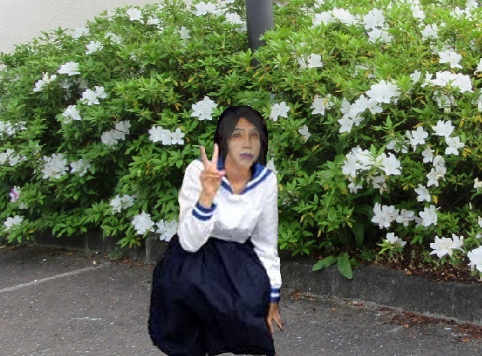 f:id:masami71:20190419182831j:plain