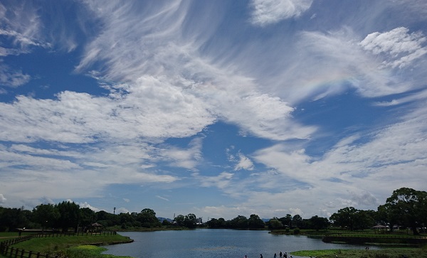 f:id:masami71:20190724131553j:plain f:id:masami71:20190724131553j:plain